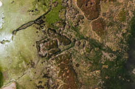 Use Case SeBS cover image (1)