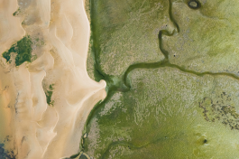Use Case SeBS cover image (2)
