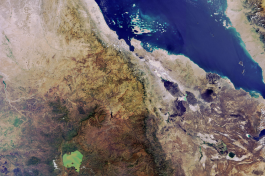 Use Case SeBS cover image
