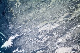 ice-flowers-on-glass-texture-and-background-hig-2026-01-09-13-57-33-utc